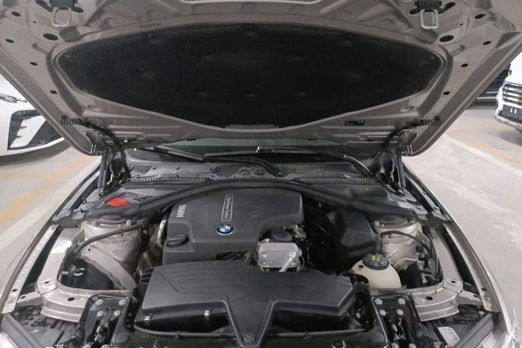 Used BMW 3 Series 2016 320Li Ambition Model Engine Bay