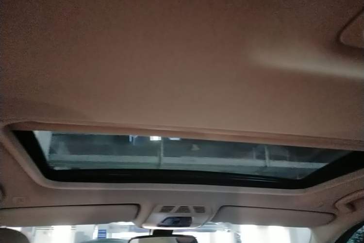 Used BMW 3 Series 2016 320Li Ambition Model Headliner