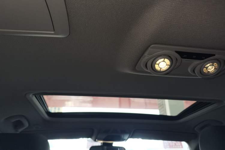 Used BMW 3 Series 2016 320Li Ambition Model Headliner