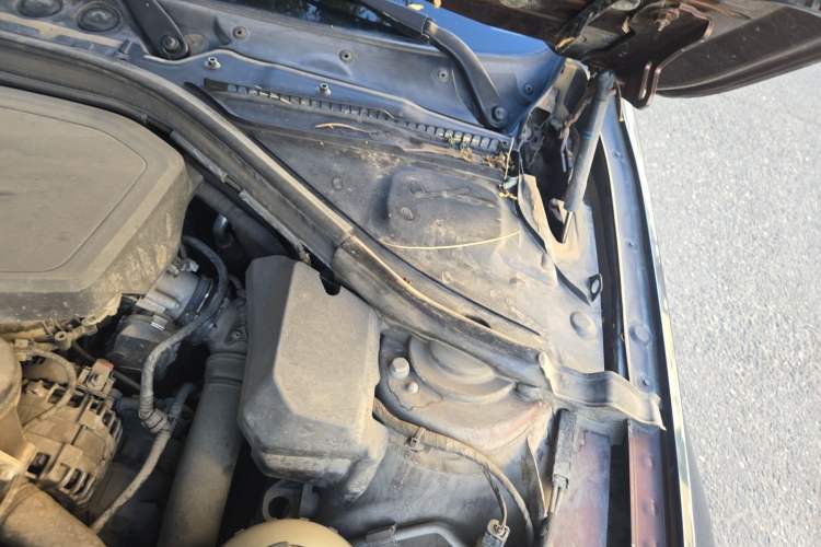 Used BMW 3 Series 2016 320i Fashion Model Engine Bay Left