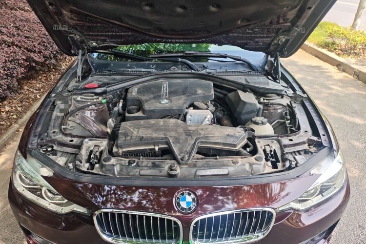 Used BMW 3 Series 2016 320Li Luxury Design Package Engine Bay