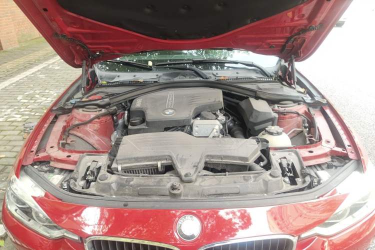 Used BMW 3 Series 2016 320Li Ambition Model Engine Bay