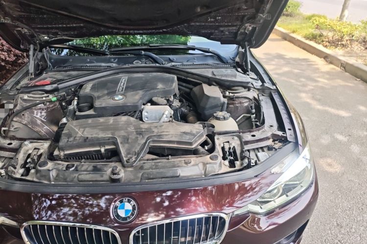 Used BMW 3 Series 2016 320Li Luxury Design Package Engine Bay Left