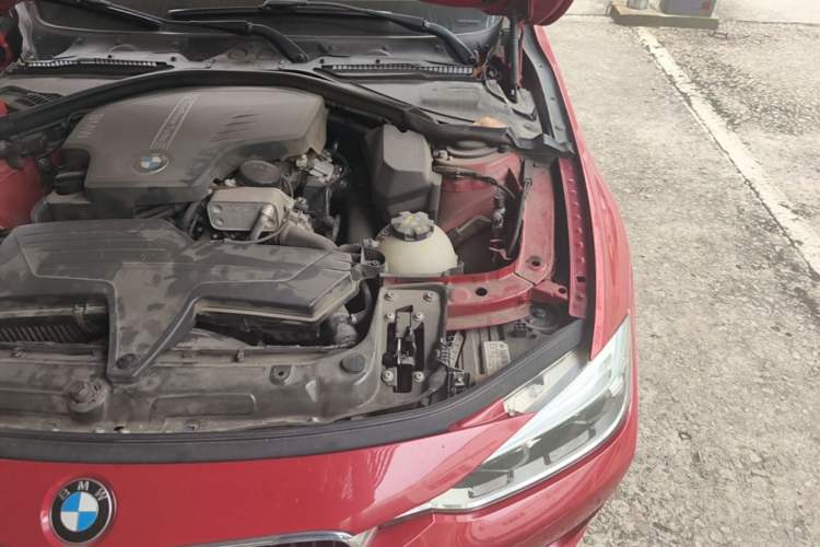 Used BMW 3 Series 2016 320Li Ambition Model Engine Bay Left