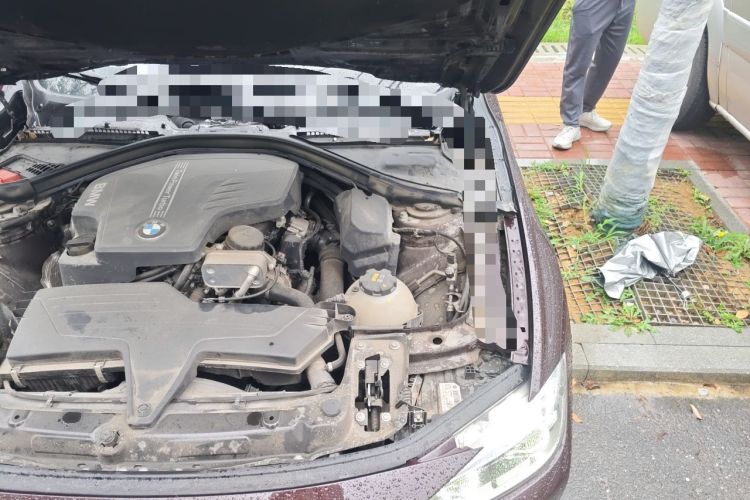 Used BMW 3 Series 2016 320Li Ambition Model Engine Bay Left