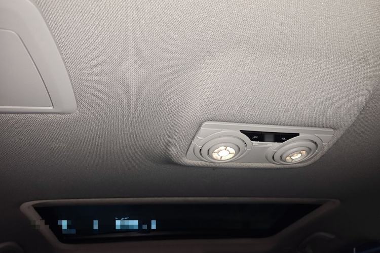 Used BMW 3 Series 2016 320Li Ambition Model Headliner