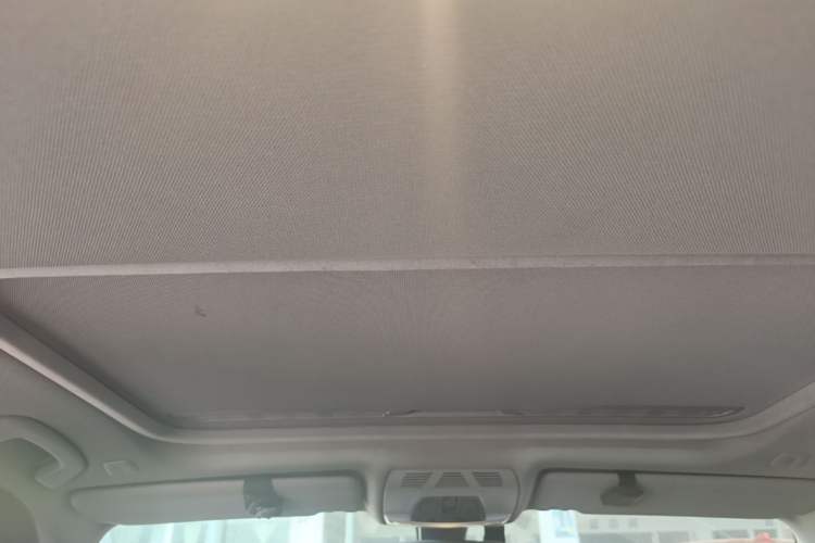 Used BMW 3 Series 2016 320Li Ambition Model Headliner