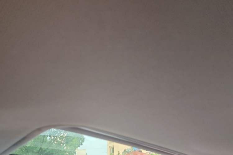 Used BMW 3 Series 2016 320Li Ambition Model Headliner