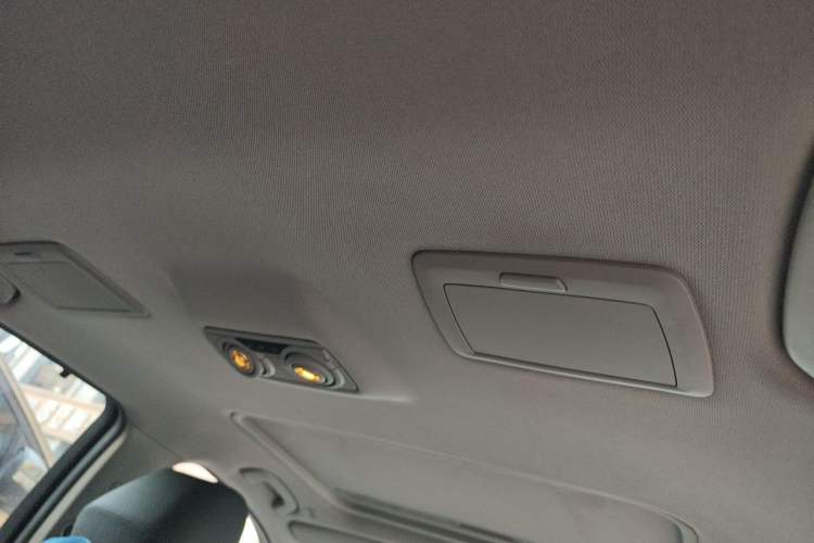 Used BMW 3 Series 2016 320Li Ambition Model Headliner