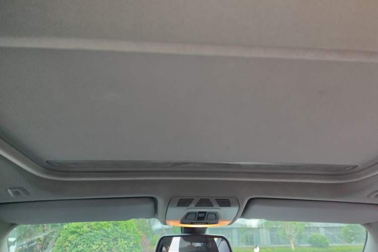 Used BMW 3 Series 2016 316i Fashion Model Headliner