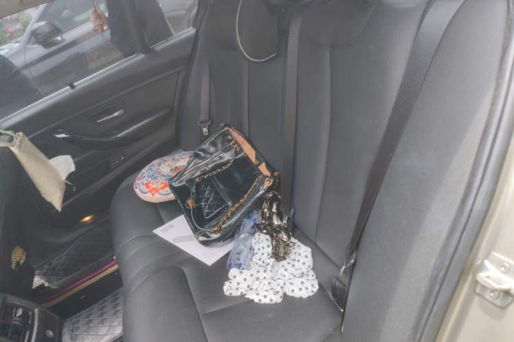 Used BMW 3 Series 2016 320Li Ambition Model Left Rear Seat