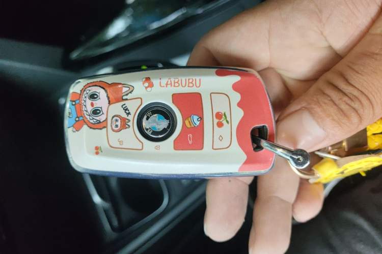 Used BMW 3 Series 2016 316Li Fashion Model Vehicle Key