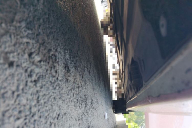Used BMW 3 Series 2016 320Li Fashion Model Chassis Front Left