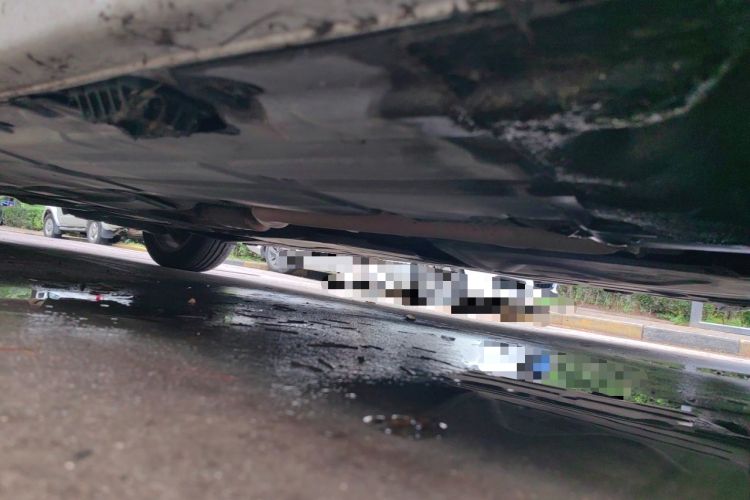 Used BMW 3 Series 2016 320Li Ambition Model Chassis Front Right