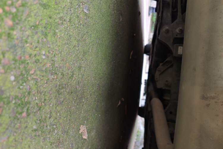 Used BMW 3 Series 2016 320Li Ambition Model Chassis Rear