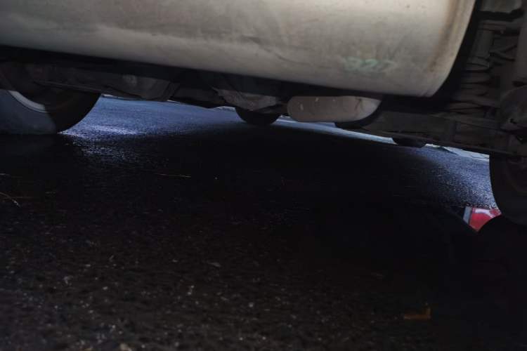 Used BMW 3 Series 2016 320Li Fashion Model Chassis Rear