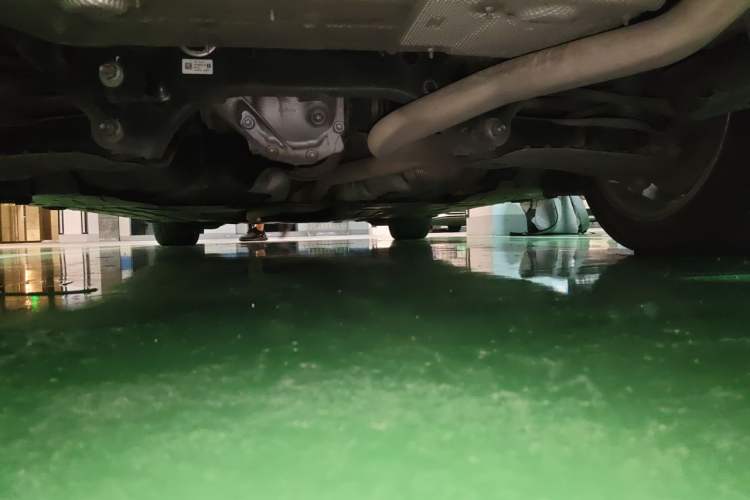 Used BMW 3 Series 2016 316i Fashion Model Chassis Rear