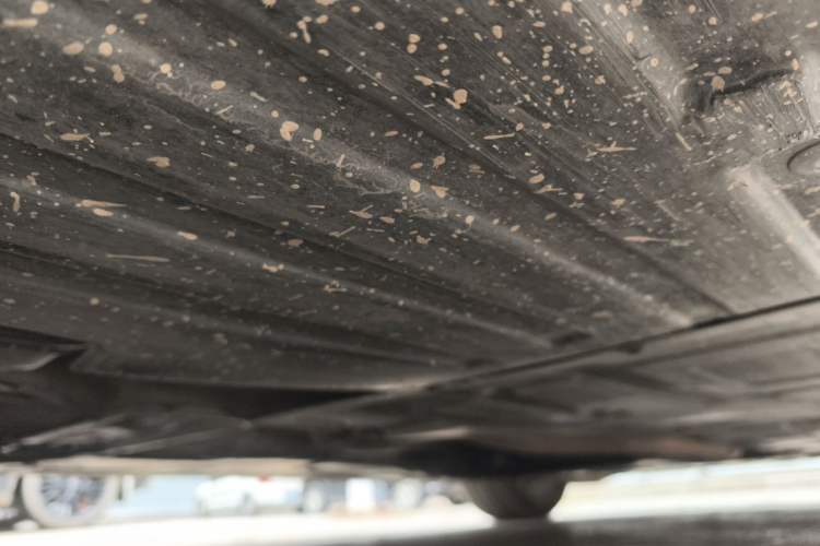 Used BMW 3 Series 2016 320Li Ambition Model Chassis Rear Right