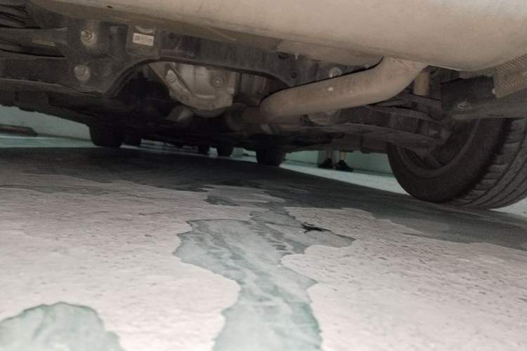 Used BMW 3 Series 2016 320i Fashion Model Chassis Rear