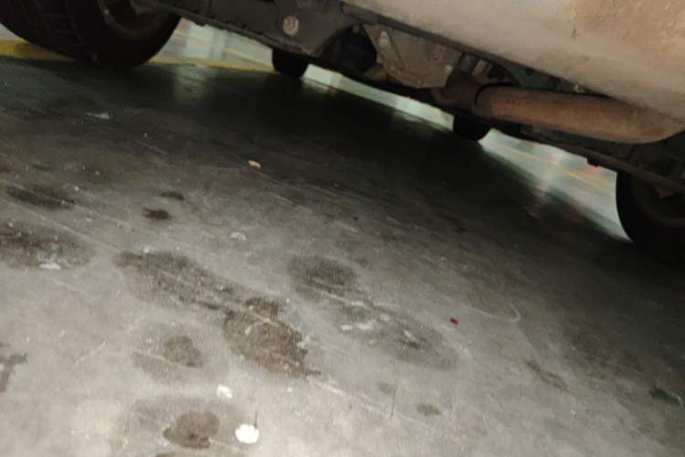 Used BMW 3 Series 2016 320i Fashion Model Chassis Rear