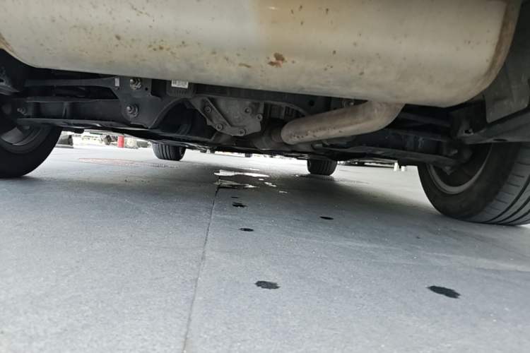 Used BMW 3 Series 2016 320i Fashion Model Chassis Rear