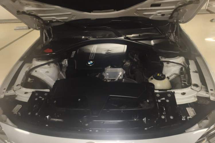 Used BMW 3 Series 2016 320Li Ambition Model Engine Bay