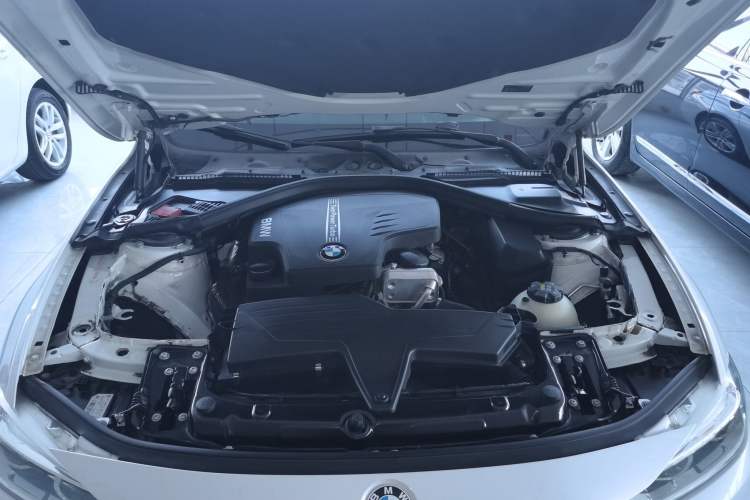Used BMW 3 Series 2016 320Li Ambition Model Engine Bay