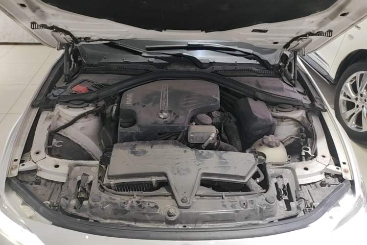 Used BMW 3 Series 2016 320Li Ambition Model Engine Bay