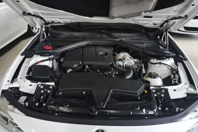 Used BMW 3 Series 2016 316i Fashion Model Engine Bay