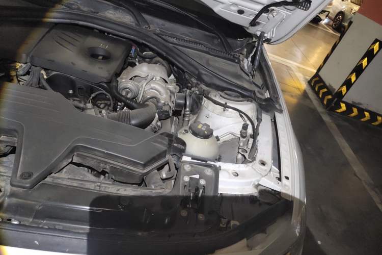 Used BMW 3 Series 2016 316i Fashion Model Engine Bay Left