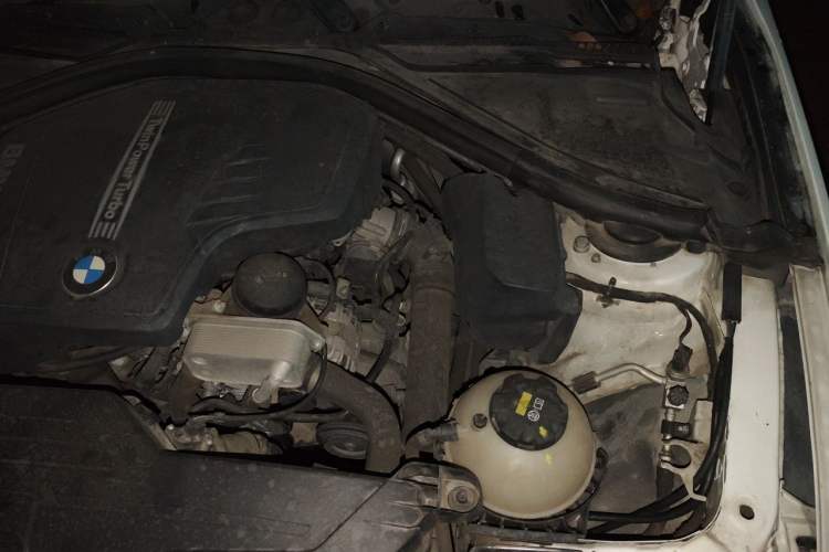 Used BMW 3 Series 2016 320i Fashion Model Engine Bay Left