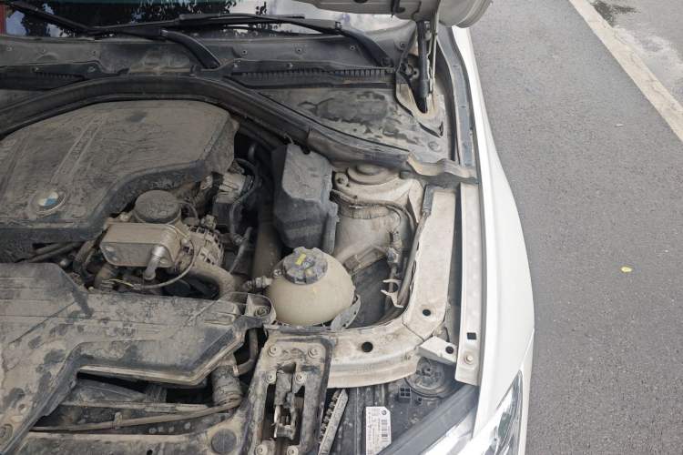 Used BMW 3 Series 2016 320Li Ambition Model Engine Bay Left
