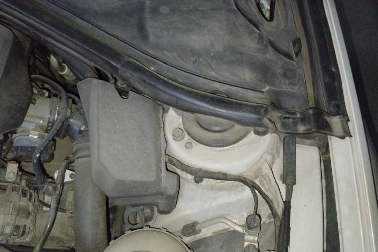 Used BMW 3 Series 2016 320Li Ambition Model Engine Bay Left