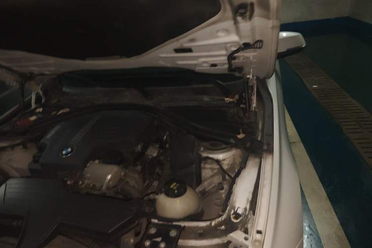 Used BMW 3 Series 2016 320Li Ambition Model Engine Bay Left