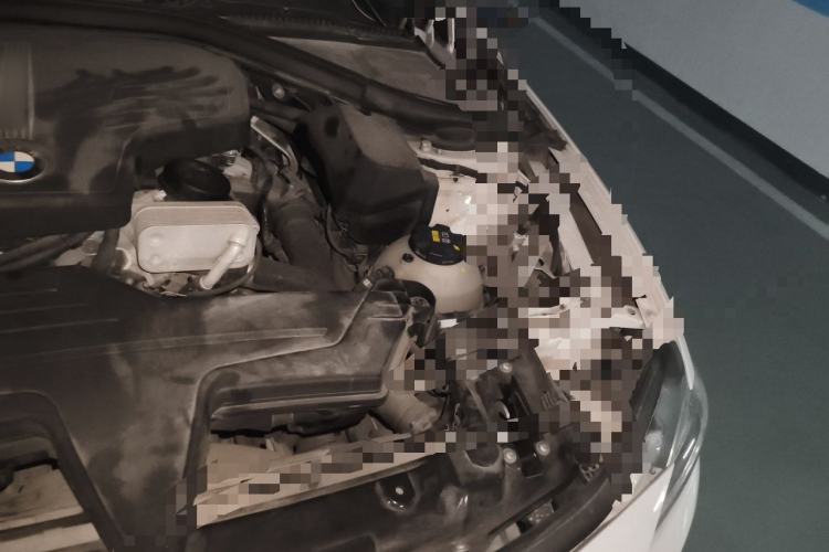 Used BMW 3 Series 2016 320Li Fashion Model Engine Bay Left