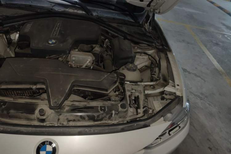 Used BMW 3 Series 2016 320Li Ambition Model Engine Bay Left