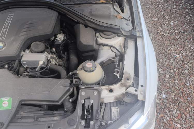 Used BMW 3 Series 2016 320Li Luxury Design Package Engine Bay Left