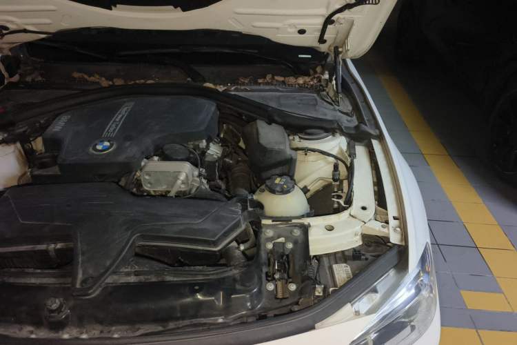 Used BMW 3 Series 2016 320Li Ambition Model Engine Bay Left