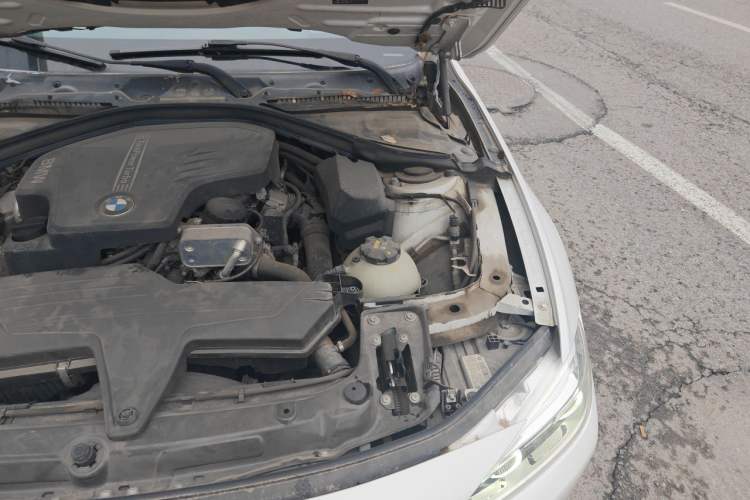 Used BMW 3 Series 2016 320Li Fashion Model Engine Bay Left