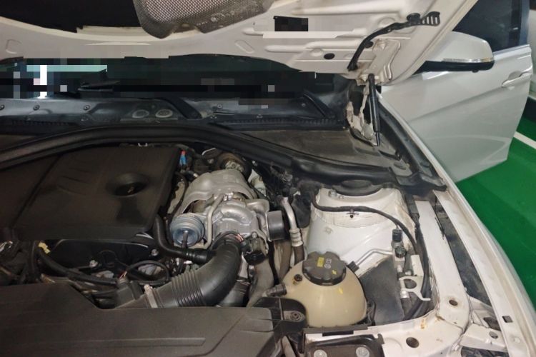 Used BMW 3 Series 2016 316Li Fashion Model Engine Bay Left