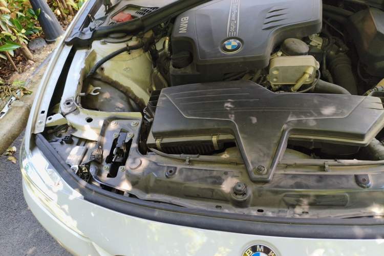 Used BMW 3 Series 2016 320Li Ambition Model Engine Bay Right