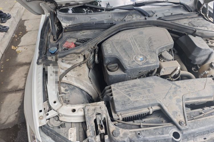 Used BMW 3 Series 2016 320Li Ambition Model Engine Bay Right