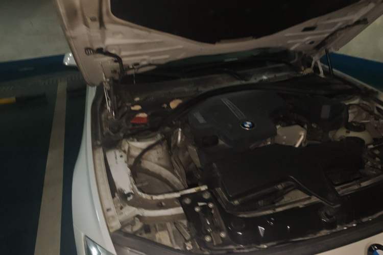 Used BMW 3 Series 2016 320Li Ambition Model Engine Bay Right