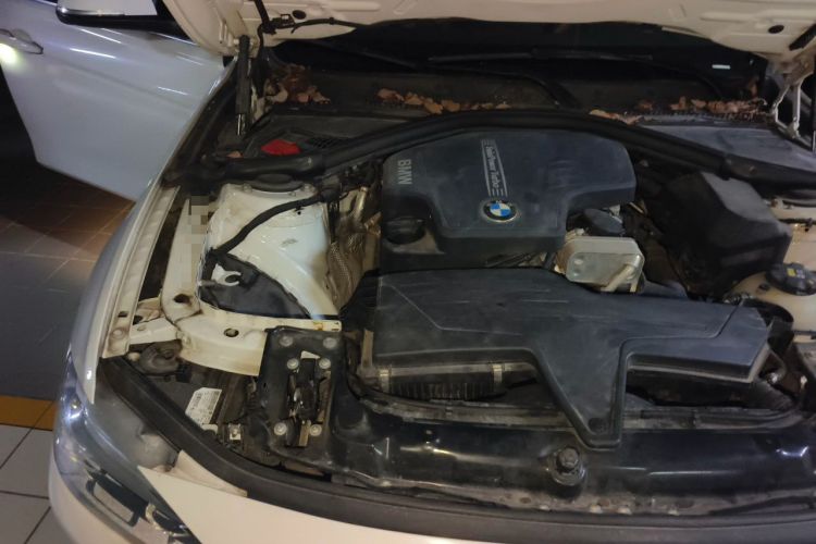 Used BMW 3 Series 2016 320Li Ambition Model Engine Bay Right