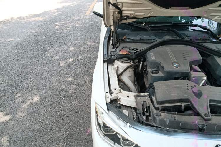 Used BMW 3 Series 2016 320i M Sport Engine Bay Right
