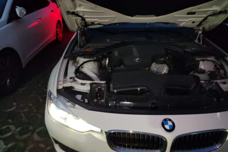 Used BMW 3 Series 2016 320Li Fashion Model Engine Bay Right