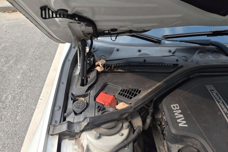 Used BMW 3 Series 2016 320i Fashion Model Engine Bay Right