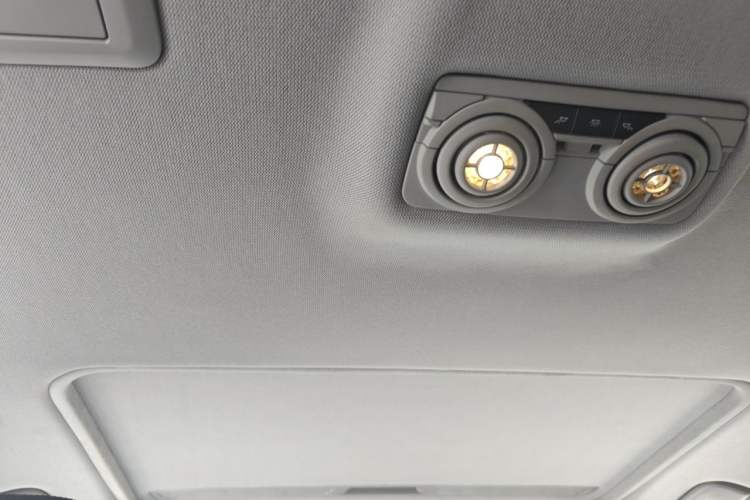 Used BMW 3 Series 2016 320Li Luxury Design Package Headliner