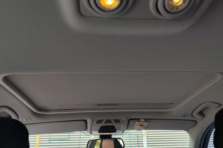 Used BMW 3 Series 2016 320Li Ambition Model Headliner