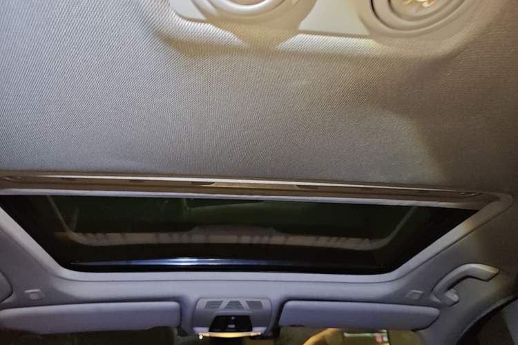 Used BMW 3 Series 2016 320Li Ambition Model Headliner